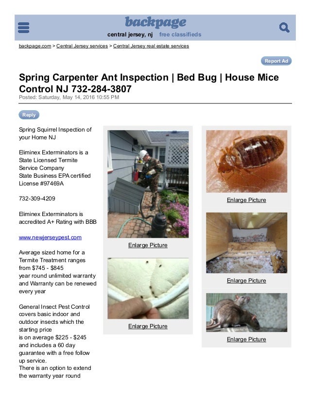 Nj back page com